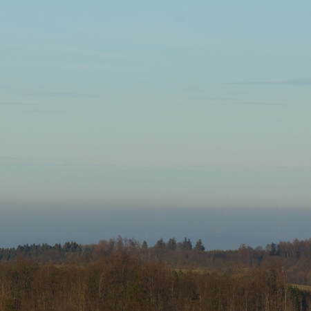 28 D HES VB Wald DSC07355 1 vorher.jpg